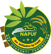 Associate Partner 15